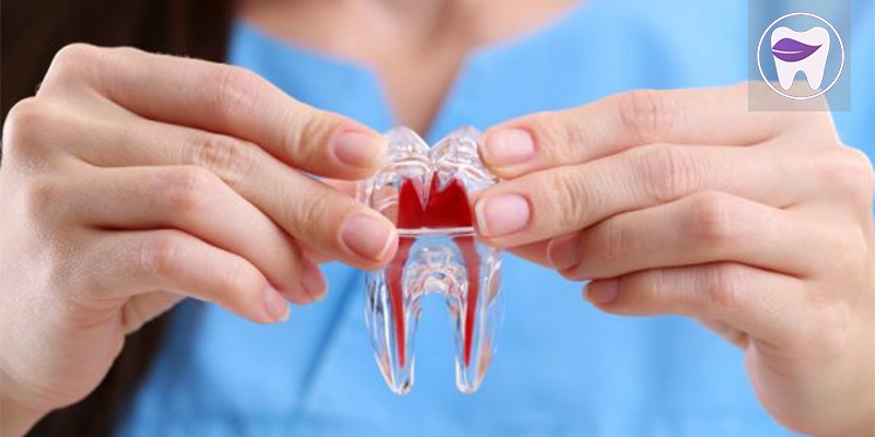 نکروز دندان چه زمانی اتفاق می افتد ؟